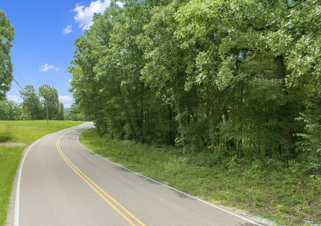 Photo 4 of Land for sale at 0 Cherokee Hts Rd, Sugar Tree, TN 38380 | MLS# 3301723 | Listing updated on 2026-07-21