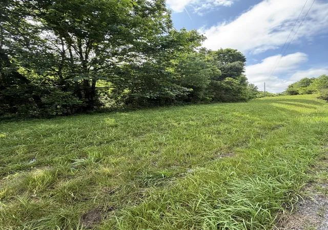 1st image of 0 Hwy 31 E, Westmoreland, TN 37186 | MLS# 3298042