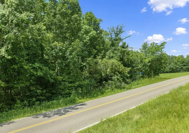 Photo 4 of Land for sale at 1 Cherokee Hts Rd, Sugar Tree, TN 38380 | MLS# 3299342 | Listing updated on 2026-08-20