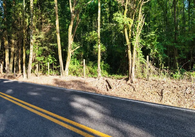 28th image of 1 Harrell Dr, Arlington, TN 38002 | MLS# 3302326