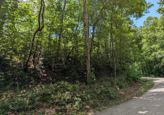 1st image of 0 Old Penny Rd, Linden, TN 37096 | MLS# 3298125