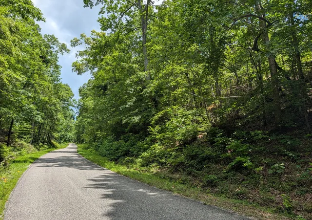 2nd image of 0 Old Penny Rd, Linden, TN 37096 | MLS# 3298125