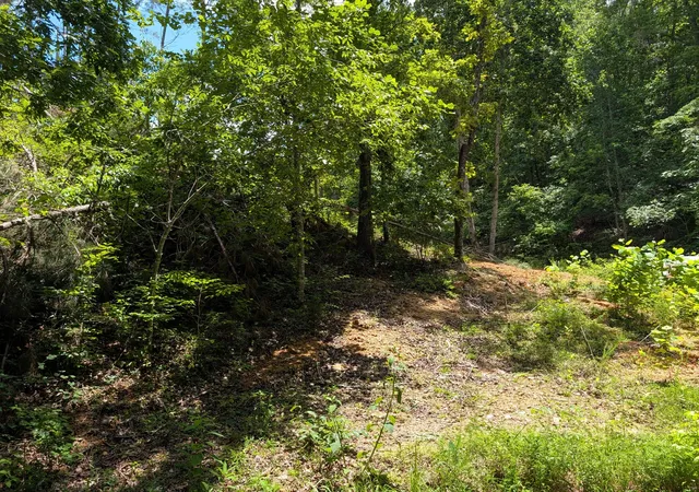 4th image of 0 Old Penny Rd, Linden, TN 37096 | MLS# 3298125