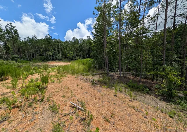 5th image of 0 Old Penny Rd, Linden, TN 37096 | MLS# 3298125