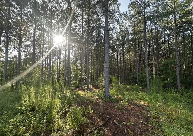 1st image of 153 Beach Rd, Hohenwald, TN 38462 | MLS# 3304287