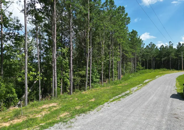 2nd image of 153 Beach Rd, Hohenwald, TN 38462 | MLS# 3304287