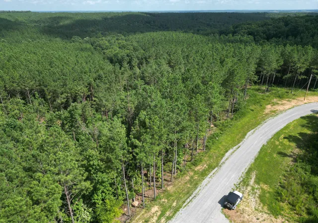 3rd image of 153 Beach Rd, Hohenwald, TN 38462 | MLS# 3304287