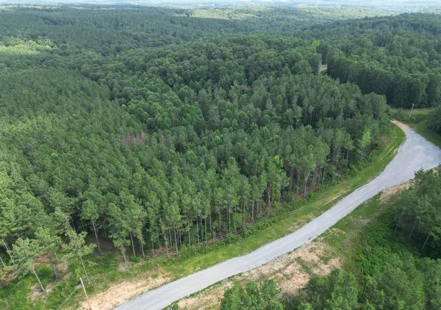 5th image of 153 Beach Rd, Hohenwald, TN 38462 | MLS# 3304287