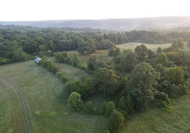 4th image of 2 Shiloh Canaan Road, Palmyra, TN 37142 | MLS# 3301892