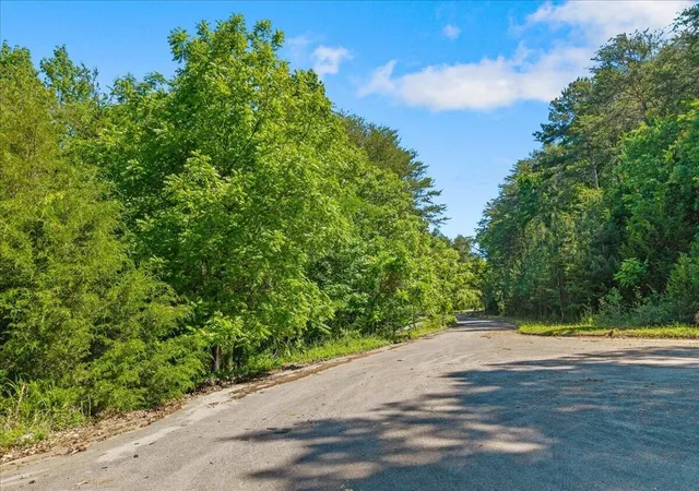 5th image of 0 Elm Lot 19 Lane, Sweetwater, TN 37874 | MLS# 3516030