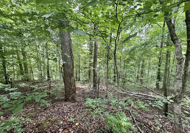 3rd image of 0 Les Hughes Rd, Fairview, TN 37062 | MLS# 3305501