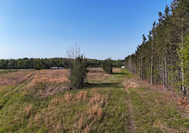 Photo 3 of Land for sale at 1241 Broadway Ave, New Johnsonville, TN 37134 | MLS# 3301922 | Listing updated on 2026-07-22