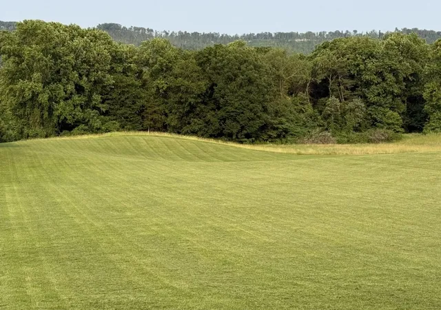 4th image of 215 Harper Ln, Mc Minnville, TN 37110 | MLS# 3304563