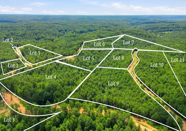 Photo 3 of Land for sale at 0 Timber View Dr, Waverly, TN 37185 | MLS# 3302574 | Listing updated on 2026-07-22