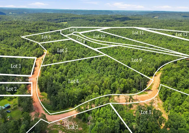 Photo 4 of Land for sale at 0 Timber View Dr, Waverly, TN 37185 | MLS# 3302574 | Listing updated on 2026-07-22