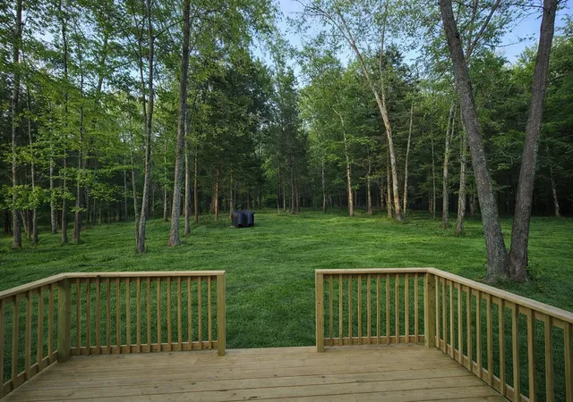 29th image of 4619 Chapel Hill Rd, Southside, TN 37171 | MLS# 3305393