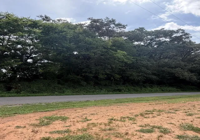 1st image of 143 Randolph Fridley Road, Sweetwater, TN 37874 | MLS# 3299499
