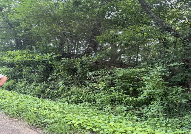 4th image of 143 Randolph Fridley Road, Sweetwater, TN 37874 | MLS# 3299499