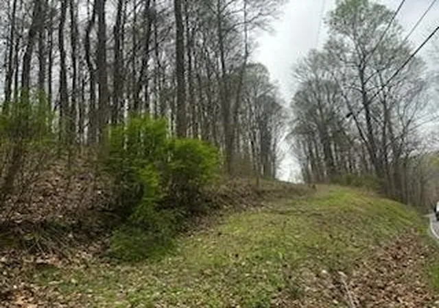 1st image of 0 County Road 197, Athens, TN 37303 | MLS# 3299506