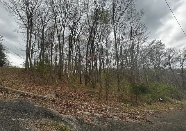 3rd image of 0 County Road 197, Athens, TN 37303 | MLS# 3299506
