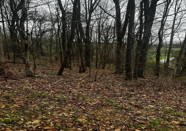 4th image of 0 County Road 197, Athens, TN 37303 | MLS# 3299506