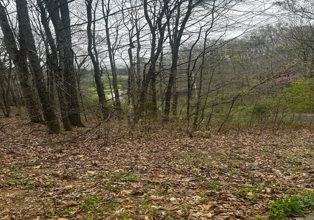 5th image of 0 County Road 197, Athens, TN 37303 | MLS# 3299506