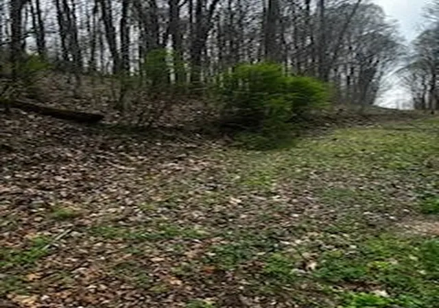 9th image of 0 County Road 197, Athens, TN 37303 | MLS# 3299506