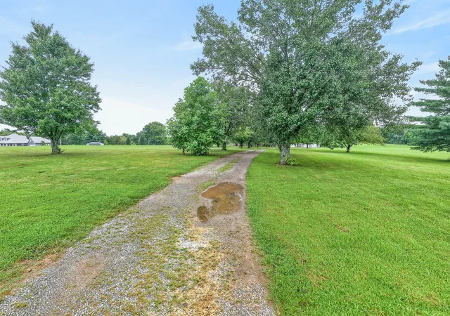 15th image of 11696 Mount Pleasant Rd, Rockvale, TN 37153 | MLS# 3312513