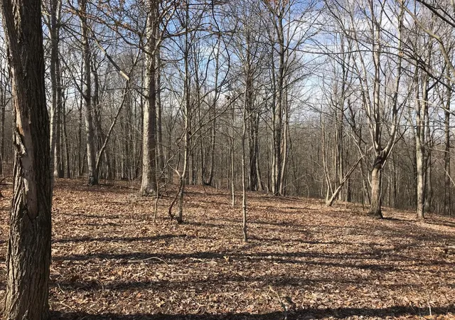 1st image of 504 Wilderness Way, Dunlap, TN 37327 | MLS# 3301726