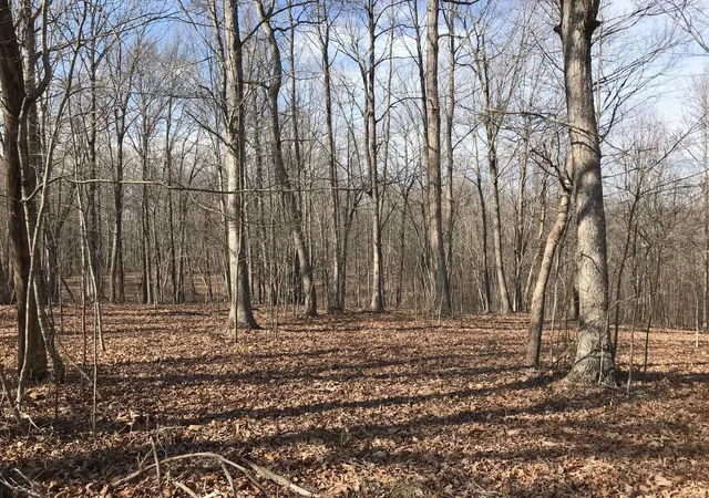 2nd image of 504 Wilderness Way, Dunlap, TN 37327 | MLS# 3301726
