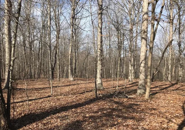 3rd image of 504 Wilderness Way, Dunlap, TN 37327 | MLS# 3301726