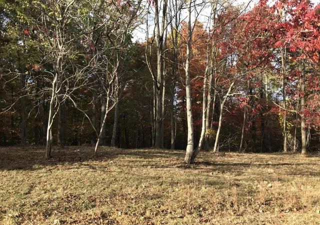 5th image of 504 Wilderness Way, Dunlap, TN 37327 | MLS# 3301726