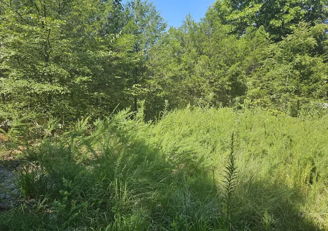 9th image of 0 Underwood Rd, Mount Juliet, TN 37122 | MLS# 3510230