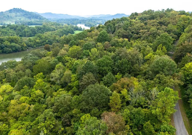 15th image of 0 Big Branch Rd, Granville, TN 38564 | MLS# 3314556