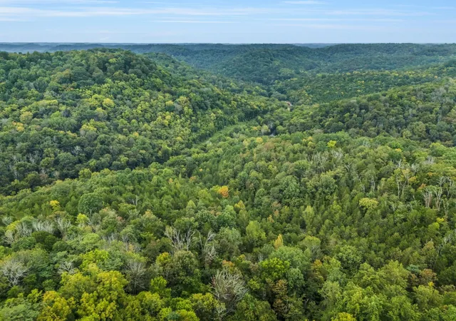 23rd image of 0 Poplar Flatt Rd, Silver Point, TN 38582 | MLS# 3314557
