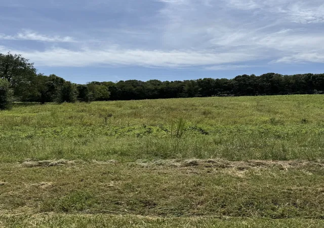 3rd image of 0 Honey Ln, Estill Springs, TN 37330 | MLS# 3302416