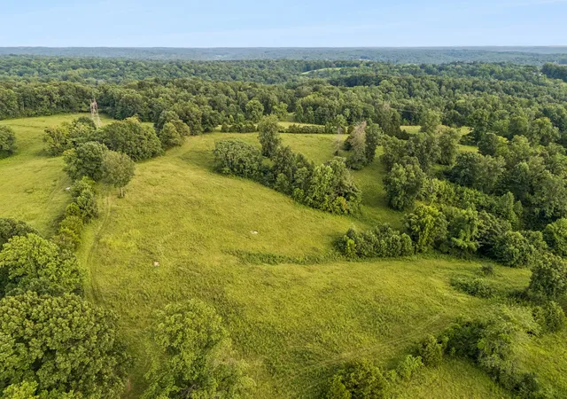 2nd image of 4 Shiloh Canaan Road, Palmyra, TN 37142 | MLS# 3302385