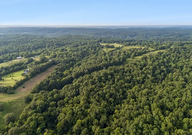 4th image of 4 Shiloh Canaan Road, Palmyra, TN 37142 | MLS# 3302385
