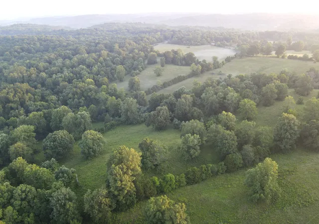 2nd image of 6 Shiloh Canaan Road, Palmyra, TN 37142 | MLS# 3302402