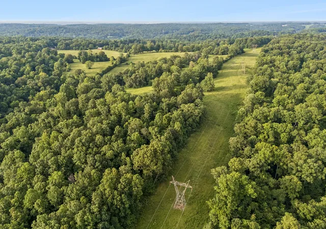 4th image of 6 Shiloh Canaan Road, Palmyra, TN 37142 | MLS# 3302402