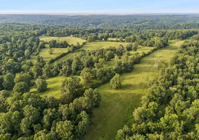 5th image of 6 Shiloh Canaan Road, Palmyra, TN 37142 | MLS# 3302402