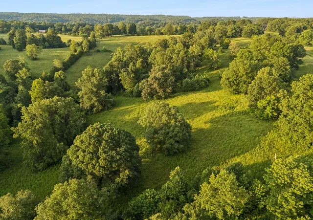 1st image of 7 Shiloh Canaan Road, Palmyra, TN 37142 | MLS# 3302411