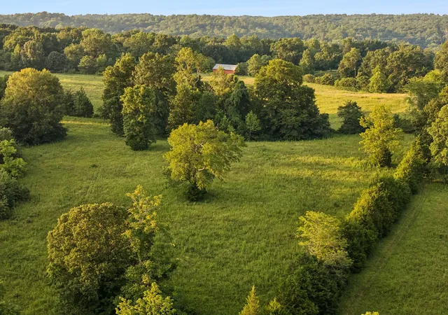 2nd image of 7 Shiloh Canaan Road, Palmyra, TN 37142 | MLS# 3302411