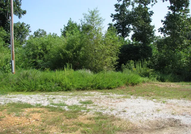 Photo 2 of Land for sale at 1920 Richland Harbor Rd, Waverly, TN 37185 | MLS# 3514261 | Listing updated on 2026-08-28