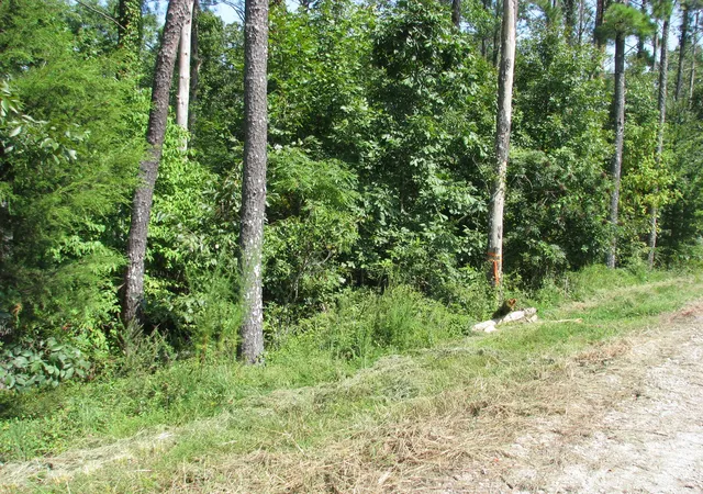 Photo 3 of Land for sale at 1920 Richland Harbor Rd, Waverly, TN 37185 | MLS# 3514261 | Listing updated on 2026-08-28