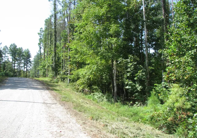Photo 3 of Land for sale at 1920 Richland Harbor Rd, Waverly, TN 37185 | MLS# 3514261 | Listing updated on 2026-08-28
