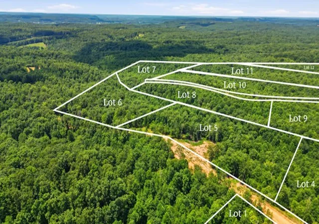 Photo 3 of Land for sale at 0 Pin Oak Ct, Waverly, TN 37185 | MLS# 3303385 | Listing updated on 2026-07-22