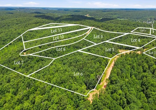 Photo 4 of Land for sale at 0 Pin Oak Ct, Waverly, TN 37185 | MLS# 3303385 | Listing updated on 2026-07-22