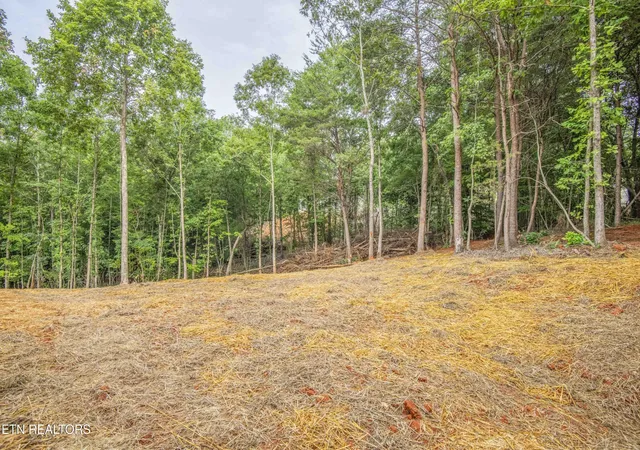 38th image of 310 Valley Dr, Loudon, TN 37774 | MLS# 3302379