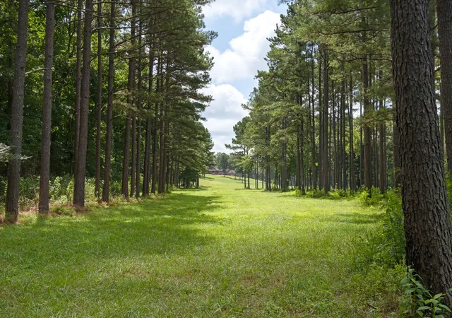 2nd image of 11985 Hwy 641 S, Holladay, TN 38341 | MLS# 3304831